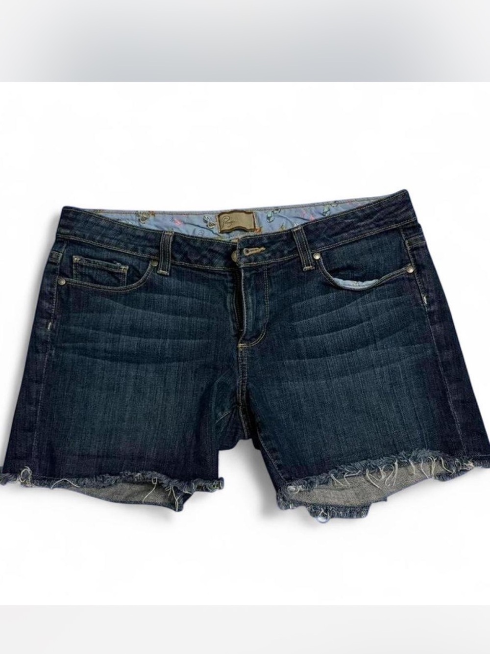 ♾️PAIGE "Jimmy Jimmy" shorts 28 Cowgirl Festival Nashville Western Concert Y2K♾️